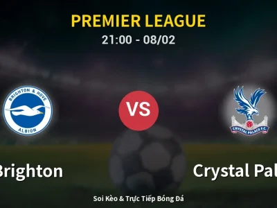 🔴 Trực Tiếp: Brighton 0-0 Crystal Palace – Link Xem Premier League (Full HD)