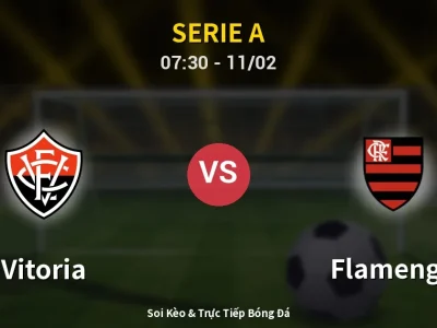 Kết Quả: Vitoria 1-2 Flamengo – Highlight & Bàn Thắng | Serie A