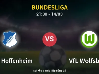 🔴 Trực Tiếp: 1899 Hoffenheim 0-0 VfL Wolfsburg – Link Xem Bundesliga (Full HD)
