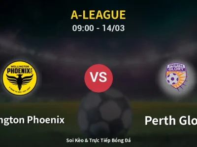 Soi Kèo Wellington Phoenix vs Perth Glory – 09:00 14/03 | Nhận Định, Dự Đoán Tỷ Số