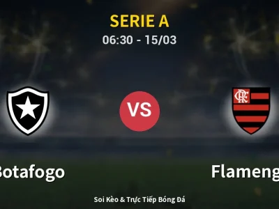 Kết Quả: Botafogo 0-3 Flamengo – Highlight & Bàn Thắng | Serie A