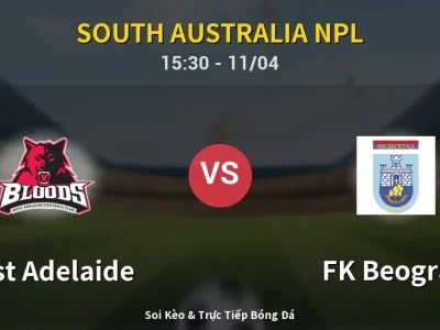 Soi Kèo West Adelaide vs FK Beograd – 15:30 11/04 | Nhận Định, Dự Đoán Tỷ Số